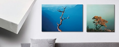 Canvas Wrap