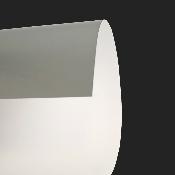 d11