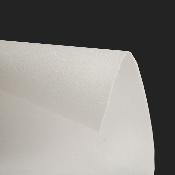 d13